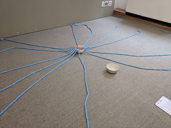 An image showing a
several blue strings laid out on the floor, all intersecting at their midpoint and forming a web in the shape of a large
asterisk. The central intersection point of the strings lies on top of a white bowl, and an orange ball lies on top of
the intersection point of the strings. Nearby sits another white bowl of the same size.
